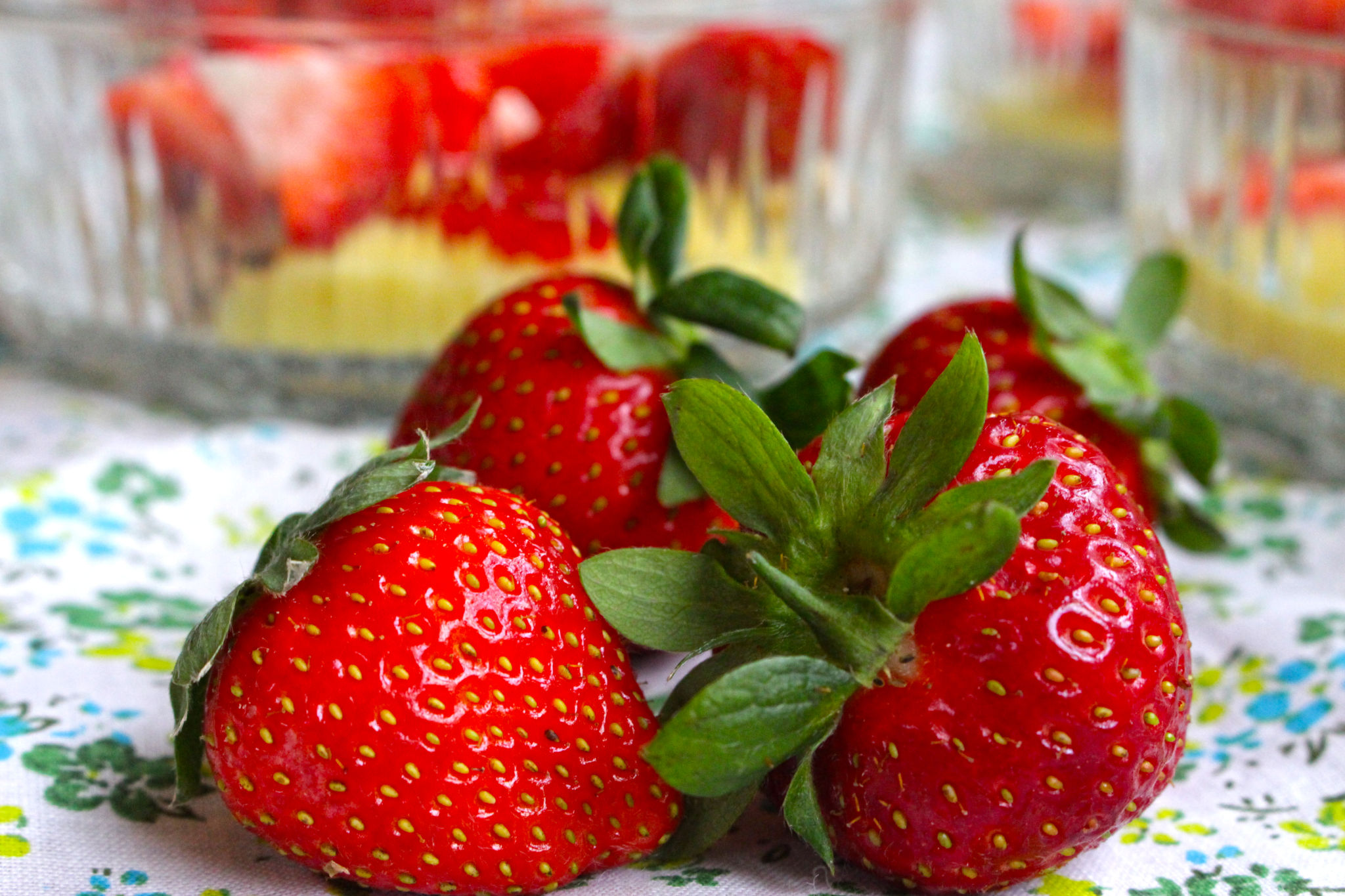 Foto: Kathrine Kragøe Skjelvan/Glutenogmelkefri.com