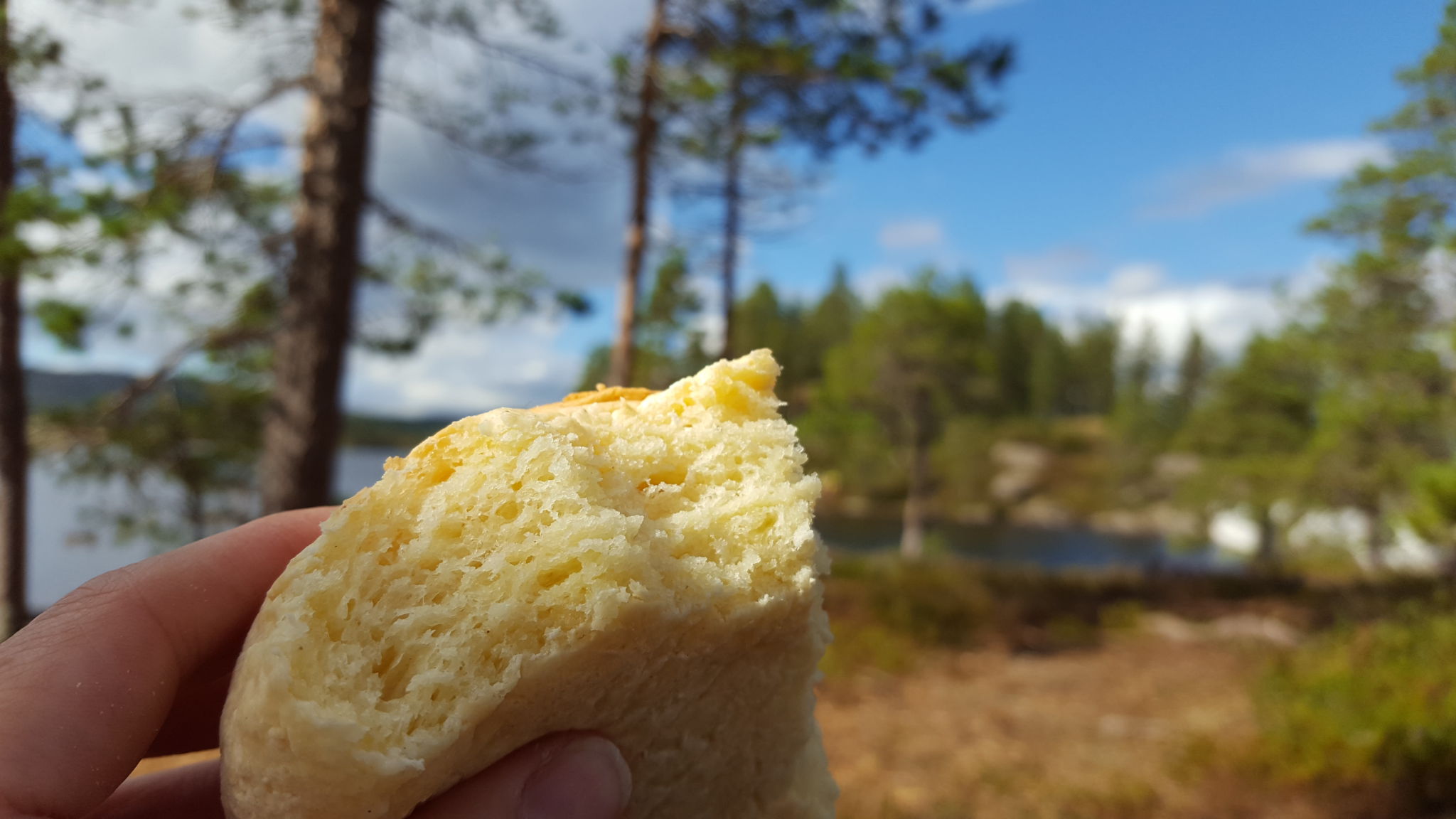 Foto: Kathrine Kragøe Skjelvan/Glutenogmelkefri.com